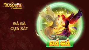 Đá gà cựa sắt
